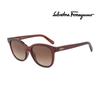 Sunglasses SF834S 210 Round Horn-rimmed UV Protection Women Men