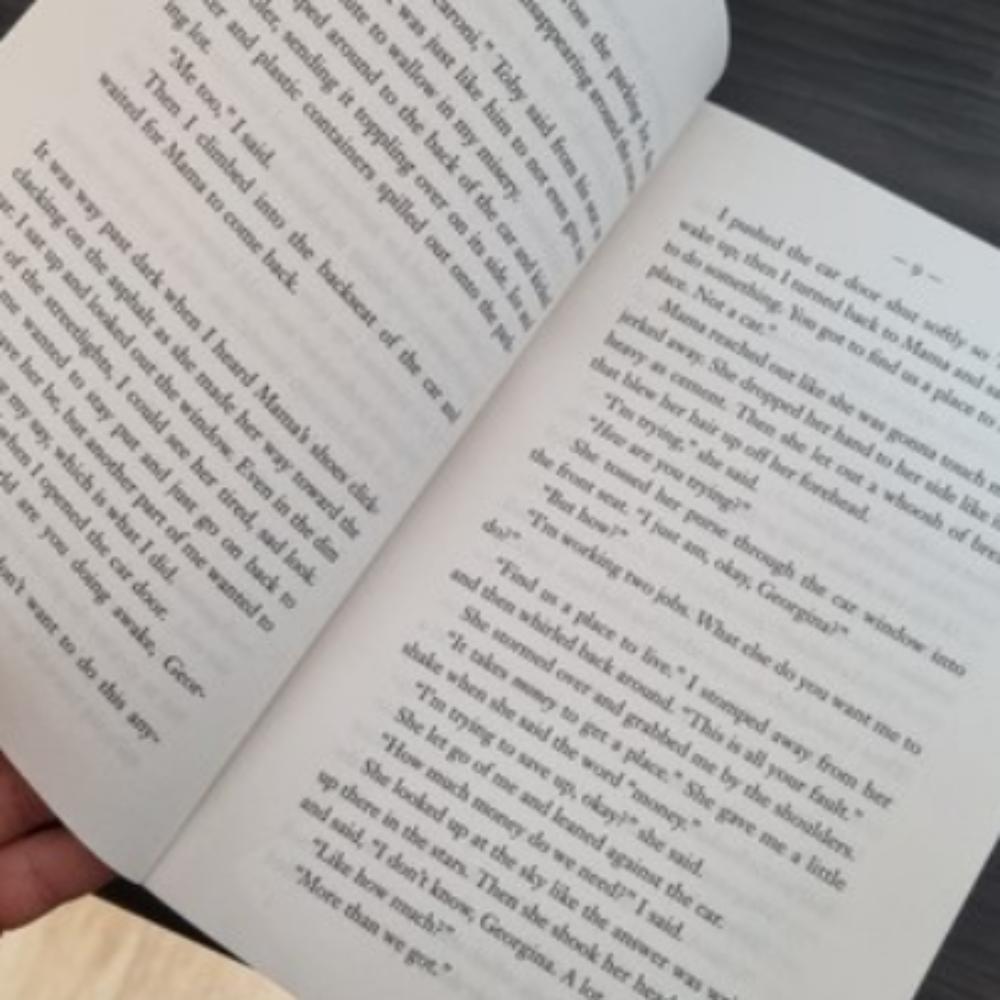 How to Steal a Dog / Barbara O'Connor : English Novel