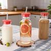 Heat Resistant Glass Water Bottle with Straw Silicone Lid Drink Cup Food Grade Juice Bottle  Bar