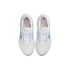 Nike Downshifter 11 Low Top White/Blue Women's CW3413-103