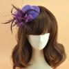 Mesh Mini Fascinator Hair Clip Exquisite Hair Accessories for Girls  Children's Day