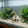Textured Design Aquarium Hideaway Cave Natural Looking Aquarium Hiding House  Underwater