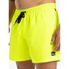 Quiksilver Everyday Solid Volley Swim Shorts 15 inches