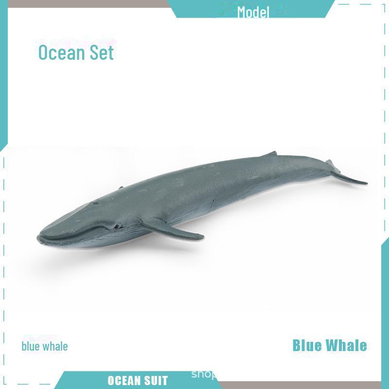 Набор моделей морских животных: Акула, черепаха, дельфин, кит, пингвин, краб и существа морского дна