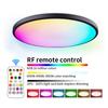 RGBCW Full Color Ceiling Lamp Round LED Ceiling Light Fixture for Bedroom Living Room