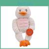 Frog Muscular Fitness Duck Plush Toys Cute Animal Stuffed Dolls Kids Soft Gifts
