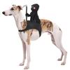 Creative Halloween Pet Costume Funny Dog Saddle Costume Easy To Wear Dog Costume  Pet Clothes