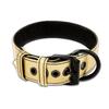 Gold Bondage Collar with Leash