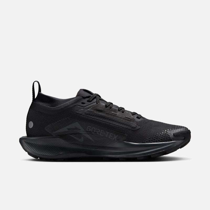 Nike Женские Весенние Профессиональные Беговые Кроссовки PEGASUS NIKE PEGASUS TRAIL 5 GORE-TEX FQ0912