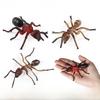 Insect Animal Models Collectible Plastic Figures For Childrens Learning And Classroom Decor