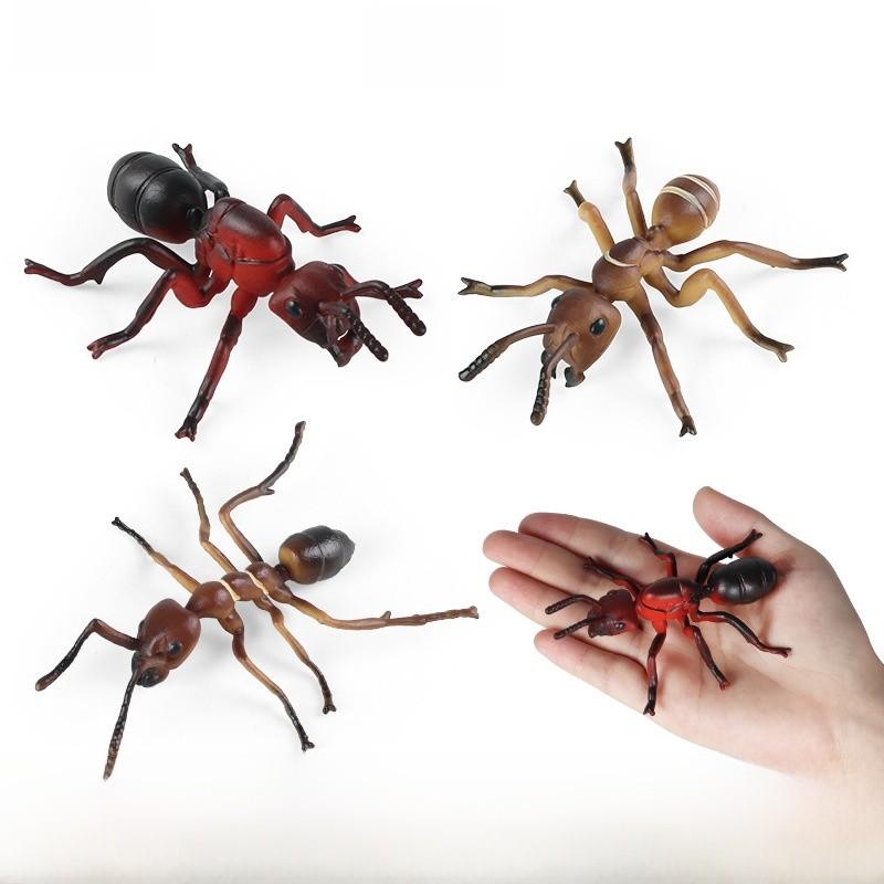 Insect Animal Models Collectible Plastic Figures For Childrens Learning And Classroom Decor
