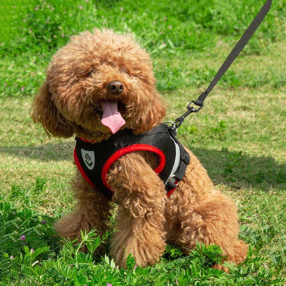 Светоотражающая шлейка и поводок для щенков, мягкие ремни для груди, сетчатый жилет для собак, для прогулок