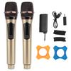 Wireless Microphone Professional Plug and Play 1 Tows 2 UHF Dual Karaoke Mic System for Outdoor