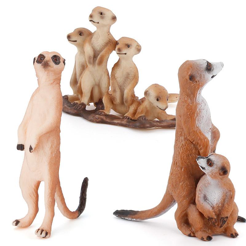 Realistic Pvc Mongoose Animal Model Toy For Kids Learning Decorations Gifts