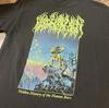 Футболка Blood Incantation Hidden History Of The Human Race размеры S-5XL