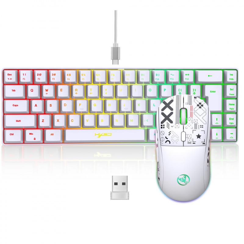 RGB Backlit 68-Key Wired Gaming Keyboard with Mechanical Feel & ABS Material