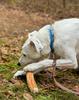 4DOGS Cinnamon Tree Chew Size M