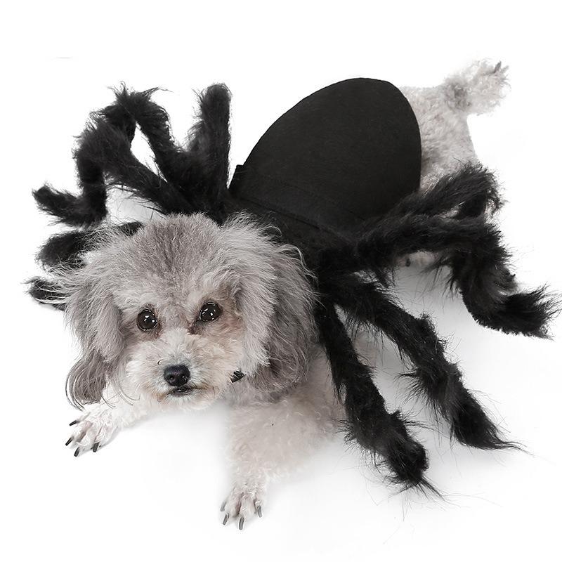 Halloween Dog Cat Clothes Pet Cats Dogs Cosplay Funny Spider Costume Halloween Party Costumes for Small Medium Dog Cats Costumes
