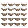 40pcs Bronze Corner Protectors Iron Furniture Corner Guard Angle Code Corner Protector  Wooden Box