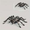 A Large Artificial Spider, Fake Spider, Insect Toy, Prank Prop, April Fool's Day Prop, Realistic Spider Model, Spider Toy