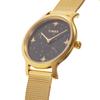 Timex Watch CELESTIAL Black Dial Brass Mineral Glass Quartz 31MM American Watch Brand TW2W21500 Unisex Gold [TIMEX] [Item]