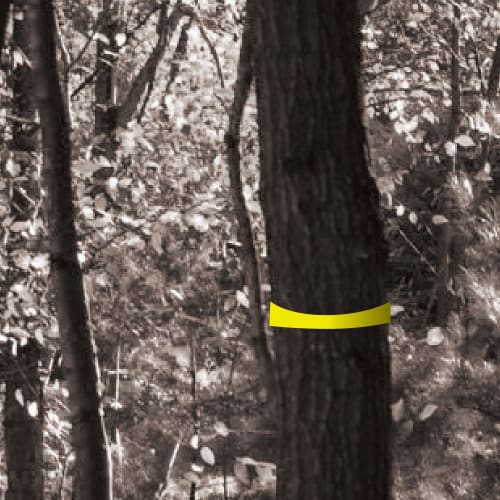 Takagi Marking Tape, Fluorescent Yellow, 30mm X 50m