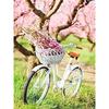 DIY 5D Diamond Painting Flower Bicycle Diamond Embroidery Cross Stitch Full Round Mosaic Rhinestones