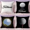 Спортивная наволочка для подушки с изображением гольфа T-Titleists, плюшевая ткань, мягкая, двусторонняя печать, скрытая молния, чехол для диванной подушки, декор для дома