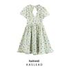 2025 Spring Women's Floral Ruffle Dress: European & American Style