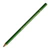 Holbein Artist Colored Pencil OP262 Sap Green 20262 (Oil-based)