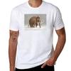 The Ice Age Sucked Tshirt T Shirts For Unisex Slim Fit Tshirt