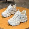 Inner Heightening Dad Shoes Women's Tide 2025 New Autumn Mesh Breathable Versatile Casual Sports Shoes
