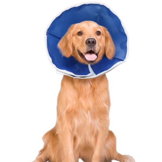 Ошейник-конус для домашних животных, приятный для кожи, водонепроницаемый, регулируемый, широкое применение, легко носить, стоп