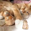 Cat Hair Storage Bottle Transparent Pet Fur Keepsake Keychain for Collecting Cat And Dog Hair Pet Memorial Gift
