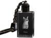 Chausie - Crystal Pendant with Cat Photo, Illuminated Pendant, Unique Gift by Brand