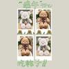 Cute Bear Doll Plush Toy Bow Tie Bear Doll Cute Bear Cloth Doll Throw Pillow Birthday Gift