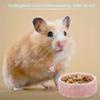 Small Animals Chew-Resistant Food and Water Dish Hamster Ceramic Food Bowl Pet Feeding Bowl