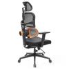 NEWTRAL Chair Standard NT001 Adaptive Lower Back Support Ergonomic Chair, Adjustable Armrest Headrest, Nylon Base