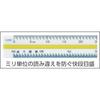 Niigata Seiki SK Made in Japan Triangular Scale, Kaidan Scale, for Architects, 30cm, TSB-30KD