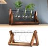 Terrarium Tabletop Tray Bonsai Flower Pot Hydroponic Plant Vases Glass Vase Wooden Frame Home Decor