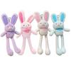 Pull The Rabbit Basket Stuffers Rabbit Keychain Pull Up Rabbit Plush Toys Soft Plushie Toys Stress Relief Rabbit Toy Birthday