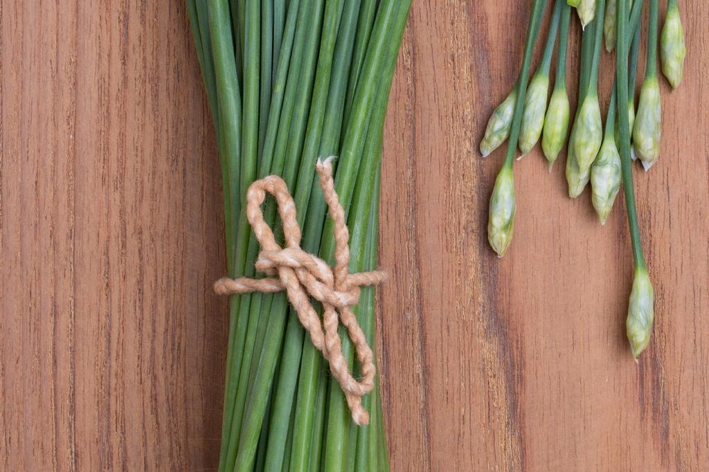 SAFLAX Garden in the Bag - Органический - Чеснок-Шнитт-лук - 100 семян - С субстратом в подходящем пакете - Allium Tuberosum