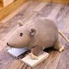 1 шт. 20 см новая мини-мягкая плюшевая имитация мыши плюшевая кукла мягкая крыса плюшевая игрушка-животное талисман Peluche мышь кукла для детей