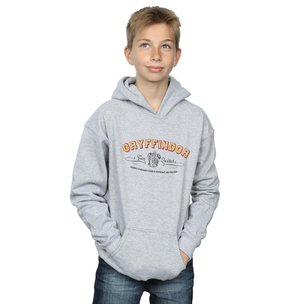 Harry Potter Boys Gryffindor Team Quidditch Hoodie