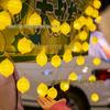 Светодиодная гирлянда с разноцветными фруктами и лобстерами, питание от батареек/USB.
