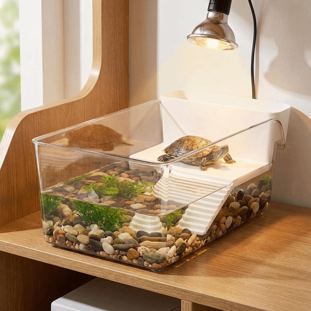 Transparent Reptile Terrarium Basking Area Turtle Basking Platform Crab Tank Amphibians