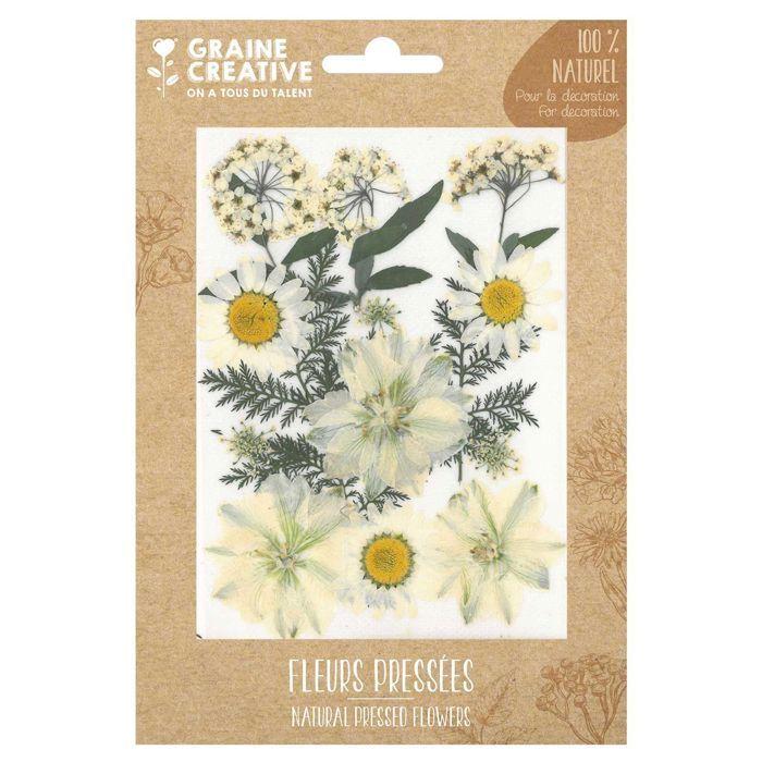 15 fleurs pressées - prairie blanche