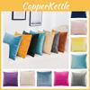 Plush Sofa Cushion Cover Modern And Simple Design Wholesale Velvet Pillowcase
