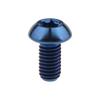 2pcs Titanium Alloy Screws M5 X 10 Lightweight Disc Brake Hexagon Socket Screw For Mountain Road