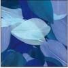 Cut Goose Feathers - Camaieu Blue - 10 Grams - Length 6 Cm